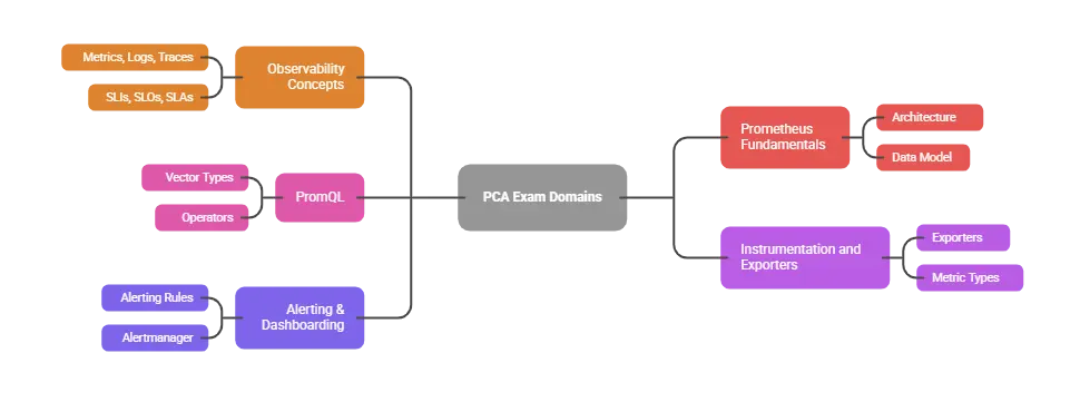 PCA Exam Domains
