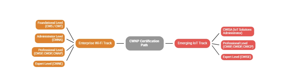 CWNA vs CWNP: Clearing Up the Acronym Confusion (2026 Guide) 5 The Complete CWNP Certification Path: Where Do You Fit?