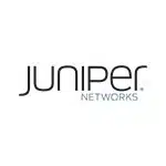 juniper