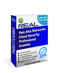Network Security Professional