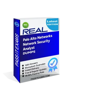 Network Security Analyst